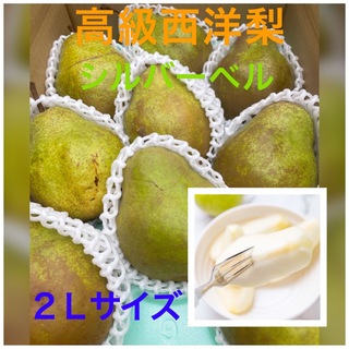 タイムセーム　15%オフ　高級洋梨　秀品＋訳あり　シルバーベル　3kg   果物(フルーツ)