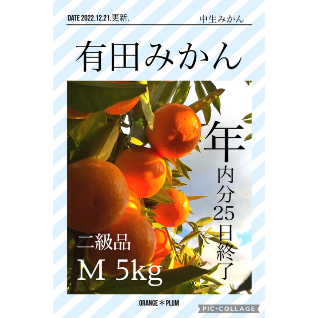 5kg M 和歌山みかん 中生みかん 家庭用 二級品 B級品 優品 5キロ 食品/飲料/酒の食品(フルーツ)の商品写真