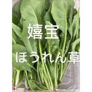 ほうれん草400g(野菜)