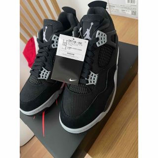 ナイキ(NIKE)のAir Jordan4 SE Black and Light Steel(スニーカー)