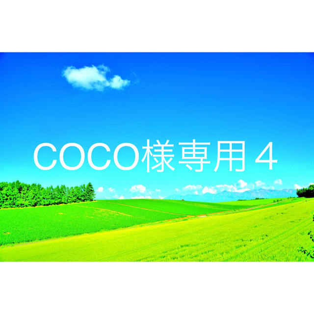 1月入！お値下げ COCO様専用4 トリートメント guadalajaramexicanfood