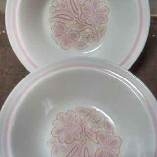 ノリタケ(Noritake)のノリタケプリマストーン2枚(食器)