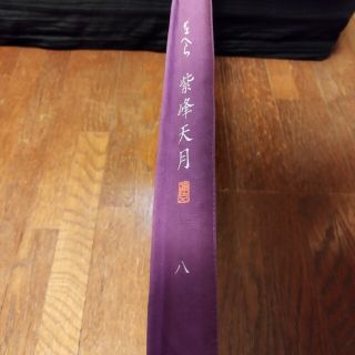 送料着払い!デジーノ レーベン スラング アドラーブル 美品