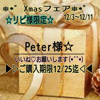 151🎪Peter様専用☆ ⭕499円‼️防水ステッカー⭕リピ様限定♥(ステッカー（シール）)