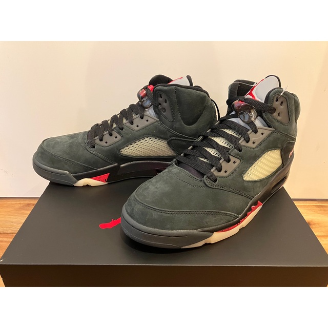 WMNS Air Jordan 5 GORE-TEX 29.0㎝