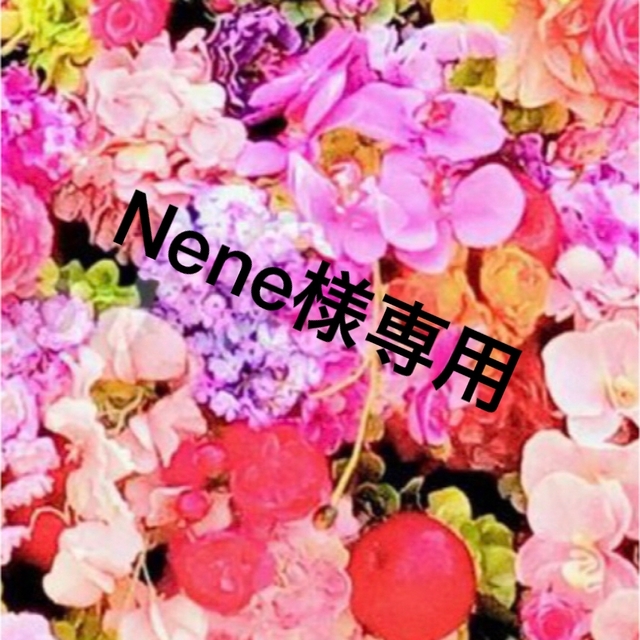 お買得!】 Nene様専用ページ pantum.rs