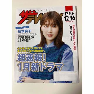 カドカワショテン(角川書店)のザ　テレビジョン　日本生命版　匿名配送(アート/エンタメ/ホビー)