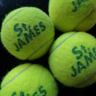 ダンロップ(DUNLOP)のテニスボール中古 ダンロップ STJamesx4 マッサージに!ペットに!#J(テニス)