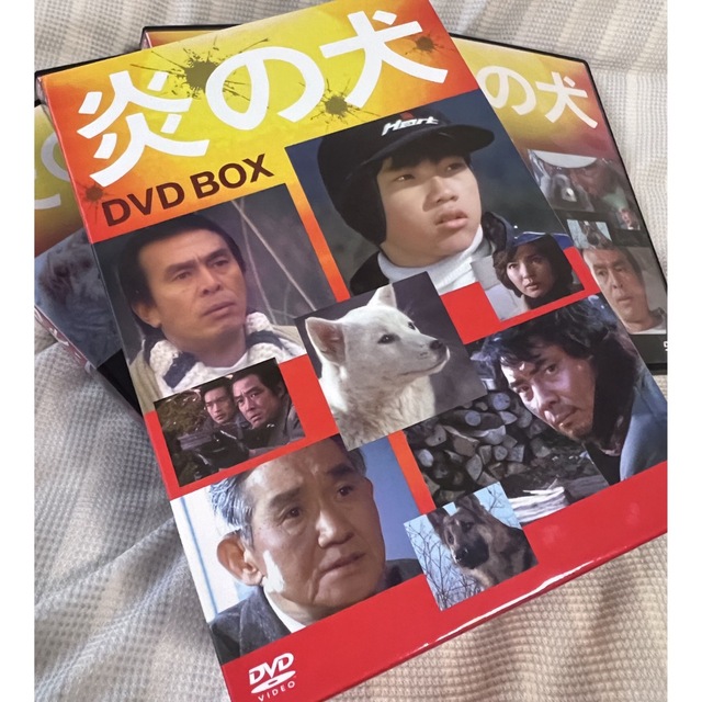 ⭐️炎の犬　DVD Box5枚組　美品　紀州犬愛情物語　大変貴重！