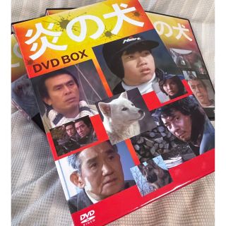 ⭐️炎の犬 DVD Box5枚組 美品 紀州犬愛情物語 大変貴重！の通販 by 橘 ...