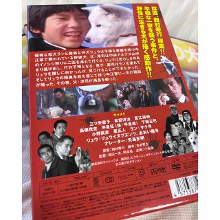 ⭐️炎の犬 DVD Box5枚組 美品 紀州犬愛情物語 大変貴重！の通販 by 橘 ...