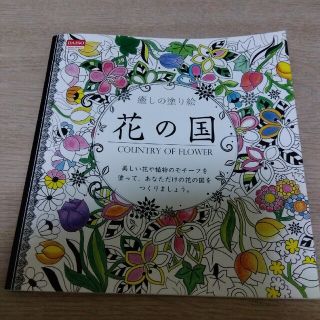 癒しの塗り絵   花の国(スケッチブック/用紙)