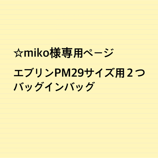 ☆miko様専用ページ エブリンPM29サイズ用2つ バッグインバッグ 『5年