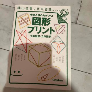 moon様専用　陰山英男の完全習熟シリーズ　図形プリント(語学/参考書)