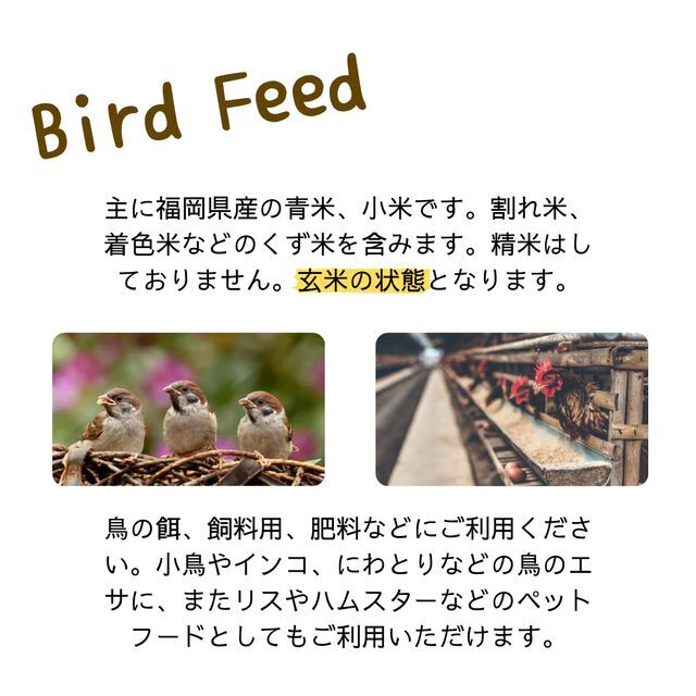 くず米 25kg 青米 小米 肥料 鳥の餌 飼料米 玄米 安い 小動物