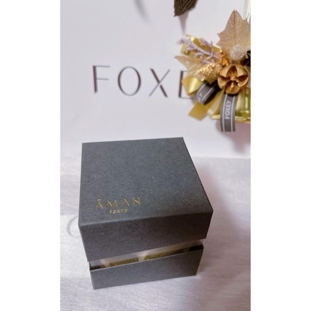 FOXEY(フォクシー)のFOXEY  2022年12月高級ノベルデイ　新品　Rene エンタメ/ホビーのコレクション(ノベルティグッズ)の商品写真