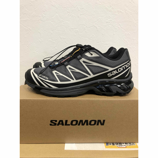 31000円 XT-6 GTX gore-Tex Salomon 27.5cm cropsresearch.org