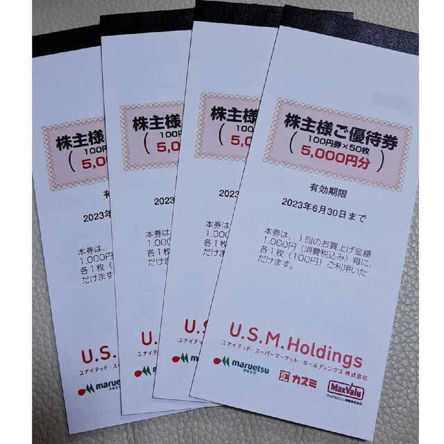ユナイテッドスーパーマーケット 株主優待 20,000円分 www.uig