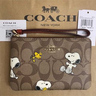 COACH - COACH x Peanuts 新品 スヌーピー リストレットポーチ スマホ