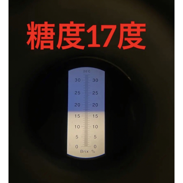 004 正直高い！だけど美味い！！ 小粒の甘〜いみかん(^O^) 食品/飲料/酒の食品(フルーツ)の商品写真