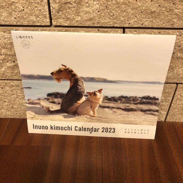 Benesse(ベネッセ)のいぬのきもち カレンダー 2023 インテリア/住まい/日用品の文房具(カレンダー/スケジュール)の商品写真