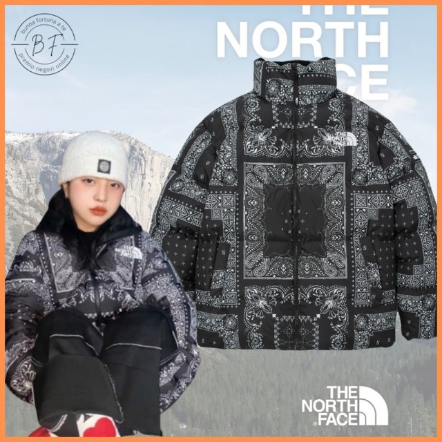 THE NORTH FACE ダウンジャケット 韓国限定