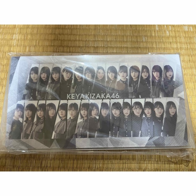 欅坂46(けやき坂46)(ケヤキザカフォーティーシックス)の櫻坂 欅坂フォトアルバム エンタメ/ホビーのタレントグッズ(アイドルグッズ)の商品写真