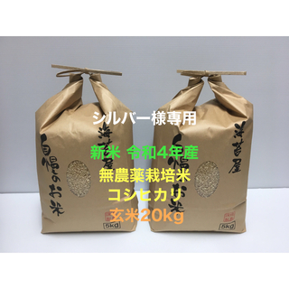 シルバー様専用 新米 無農薬コシヒカリ玄米20kg(5kg×4)令和4年産(米/穀物)