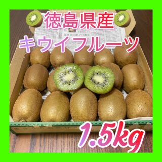 ☆キウイフルーツ☆徳島県産☆約1.5kg☆送料無料(フルーツ)