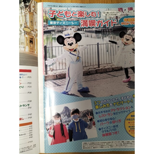 ディズニー　ガイドブック　2022 2023 エンタメ/ホビーの本(地図/旅行ガイド)の商品写真