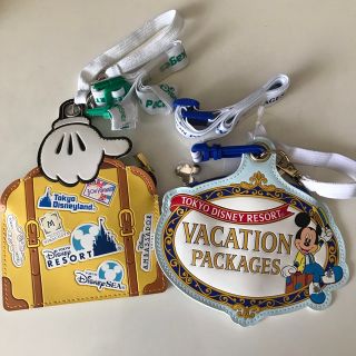 ディズニー(Disney)のディズニー バケパ チケットホルダー(キャラクターグッズ)