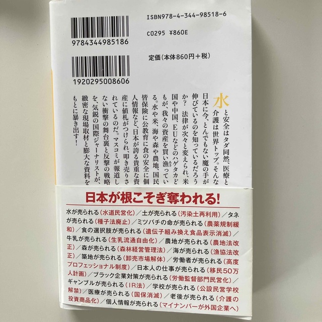 日本が売られる エンタメ/ホビーの本(その他)の商品写真