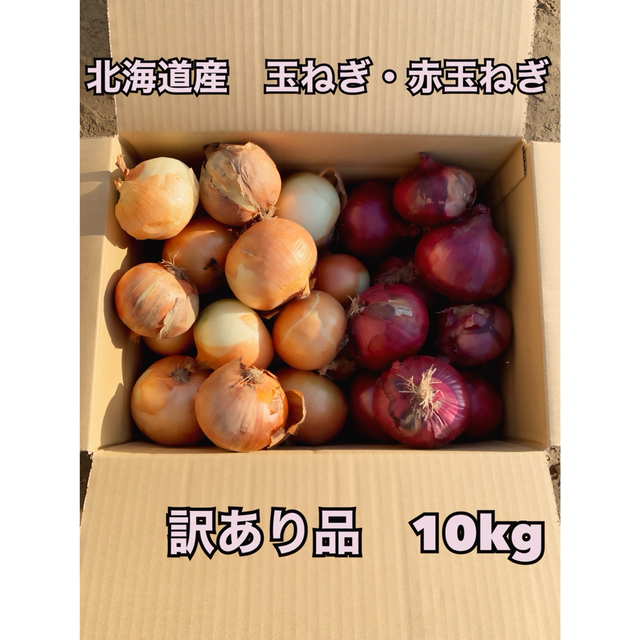 北海道産　玉ねぎ・赤玉ねぎ　訳あり品　10kg 食品/飲料/酒の食品(野菜)の商品写真