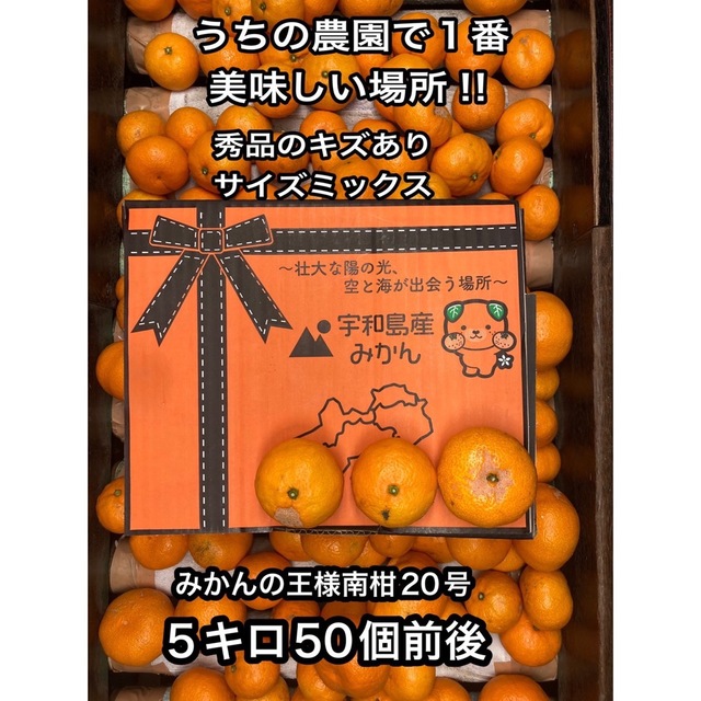 みかんの王様 南柑20号 愛媛県宇和島市産地直送 食品/飲料/酒の食品(フルーツ)の商品写真