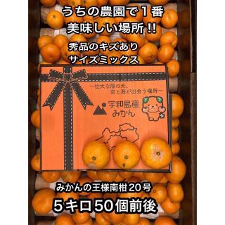 みかんの王様 南柑20号 愛媛県宇和島市産地直送(フルーツ)