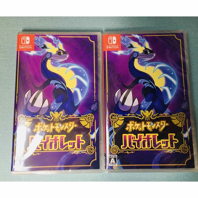 PSA10 ブースターV 073/069 SR SA FLAREON V PSA10 ブースターV 073/069 SR SA FLAREON V