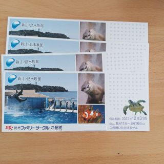 新江ノ島水族館　入園ご招待券(水族館)