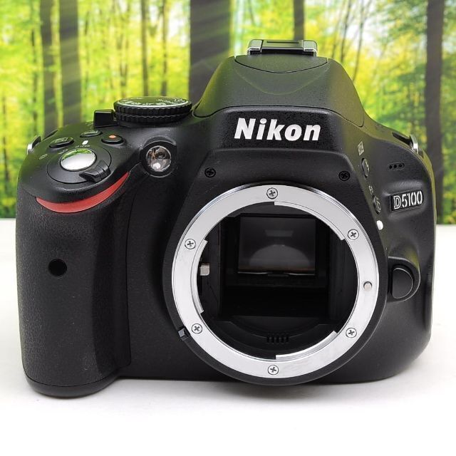 Nikon D5100☆スマホ転送OK＆液晶画面が動く一眼レフ☆4037-