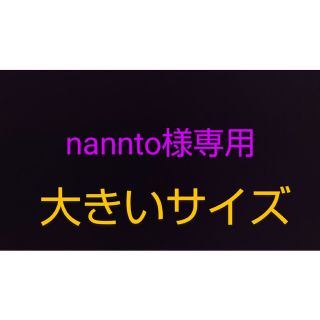 大きい粒…nannto2様専用(フルーツ)