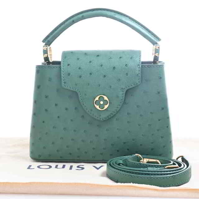 LOUIS VUITTON - 【中古】 LOUIS VUITTON ルイヴィトン オーストリッチ