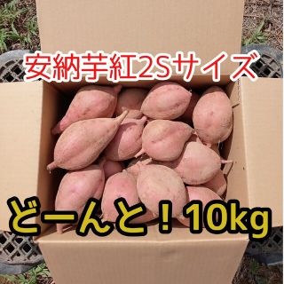 安納芋紅2Sサイズ10kg(種子島産)(野菜)