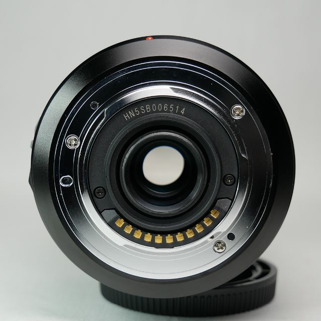 Panasonic Lumix 広角・望遠ズームレンズ H-FS14140 | www