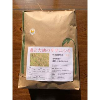 令和4年ササニシキ玄米5kg農薬・化学肥料不使用 無農薬(米/穀物)