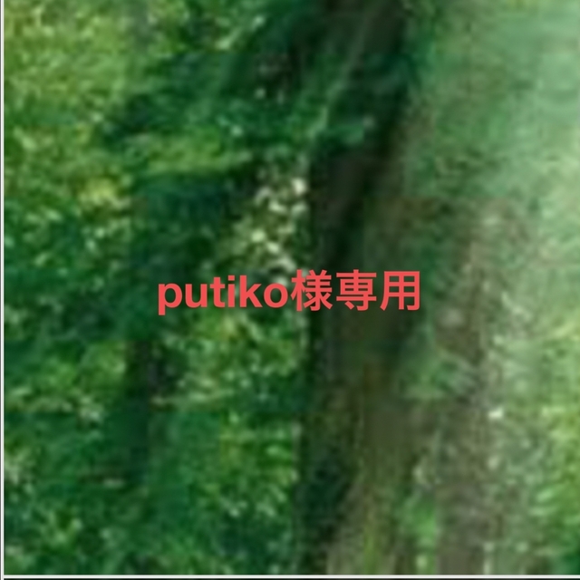 putiko様専用ページ コスメ/美容のスキンケア/基礎化粧品(フェイスクリーム)の商品写真