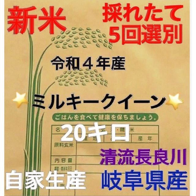 ✳️令和4年産✳️新米・採れたてミルキークイーン5回選別20キロおいしいお米