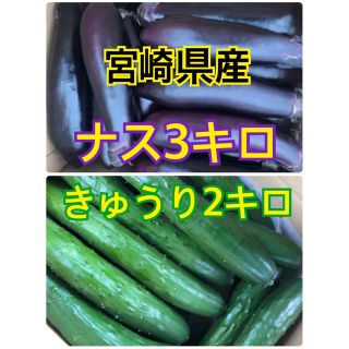 野菜　なす　きゅうり　宮崎県産(野菜)