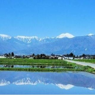 カン様専用 4袋 信州中山道和田宿本漬野沢菜漬200g(漬物)