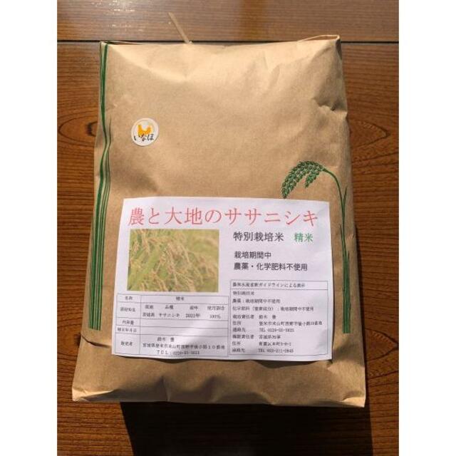 令和4年ササニシキ白米5kg農薬・化学肥料不使用 食品/飲料/酒の食品(米/穀物)の商品写真