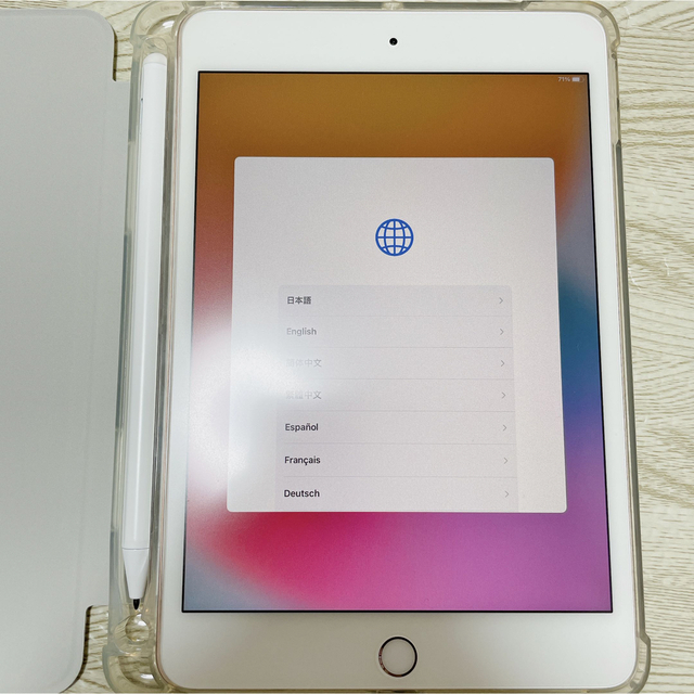 iPad - すけまる様専用 iPad mini 第5世代 WiFi 64GB ゴールドの通販