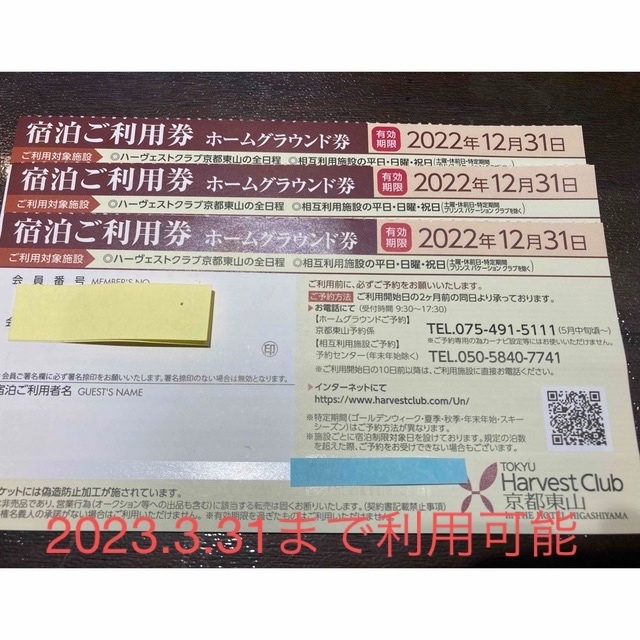 ハーヴェストホームグラウンド券3枚セット-